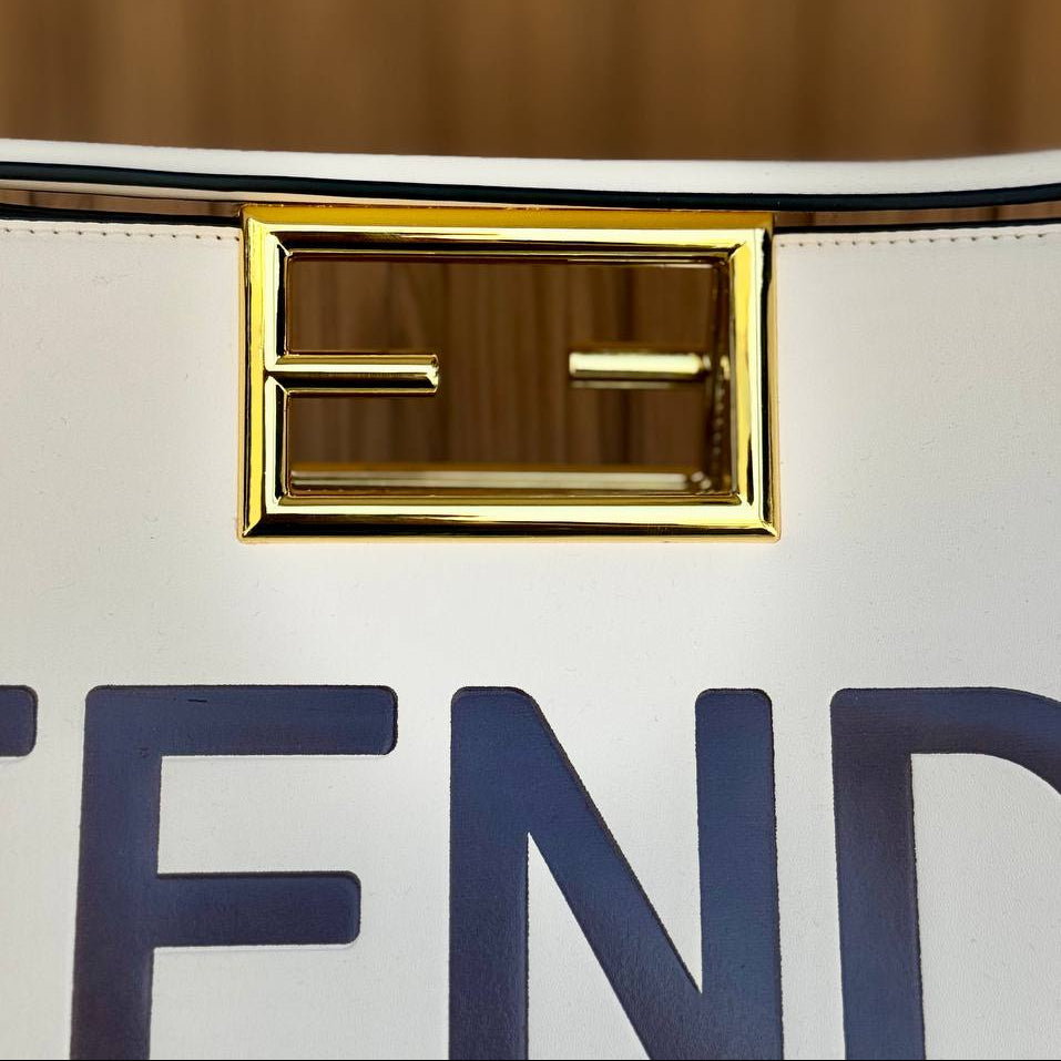 Fendi Roma Handbag with Gold-Tone Hardware