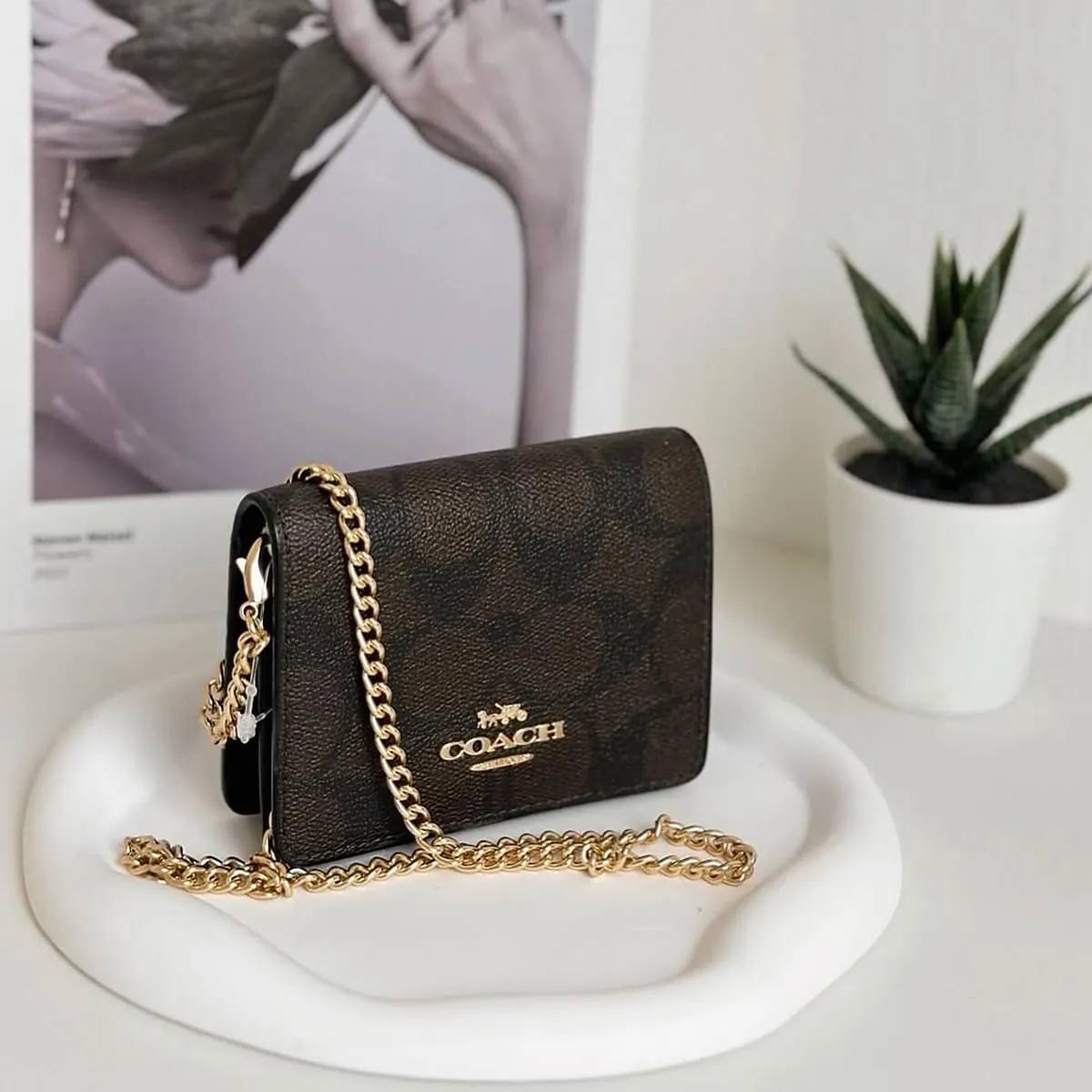 Coach Signature Canvas Chain Wallet in Brown with Gold Hardware 👜✨