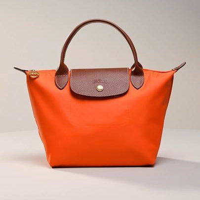 Longchamp Style Small Green Tote Bag with Brown Leather Trim