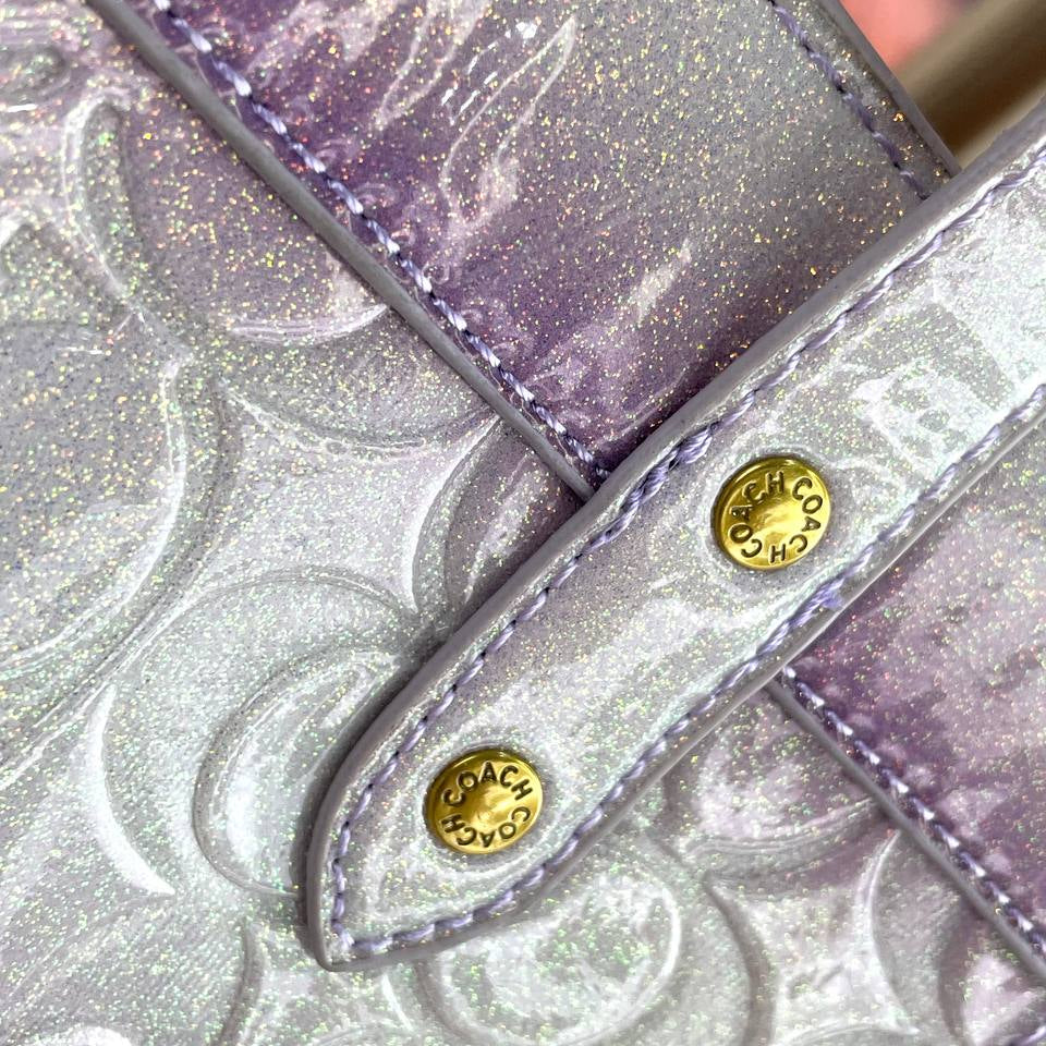 Coach Signature Glitter Gradient Tote Bag