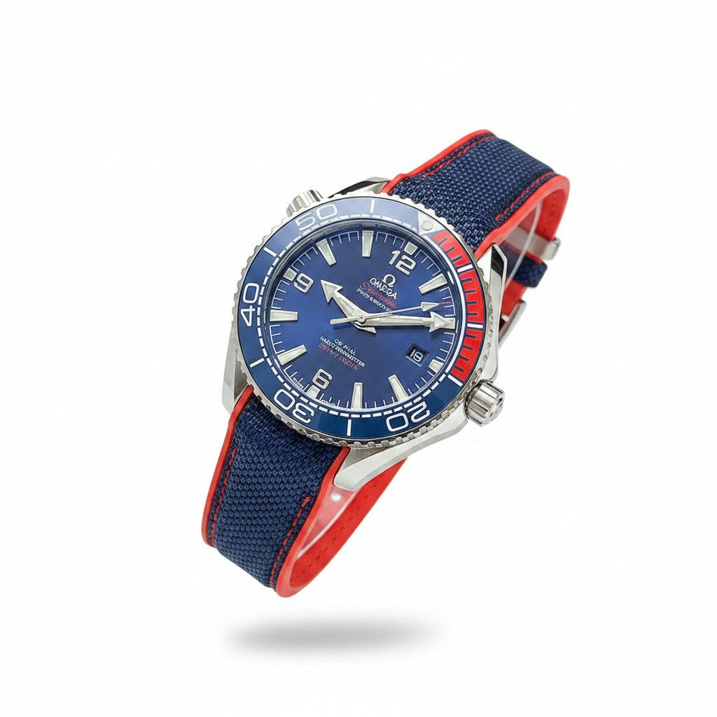 Omega Seamaster Professional Blue Dial Master Chronometer Watch
