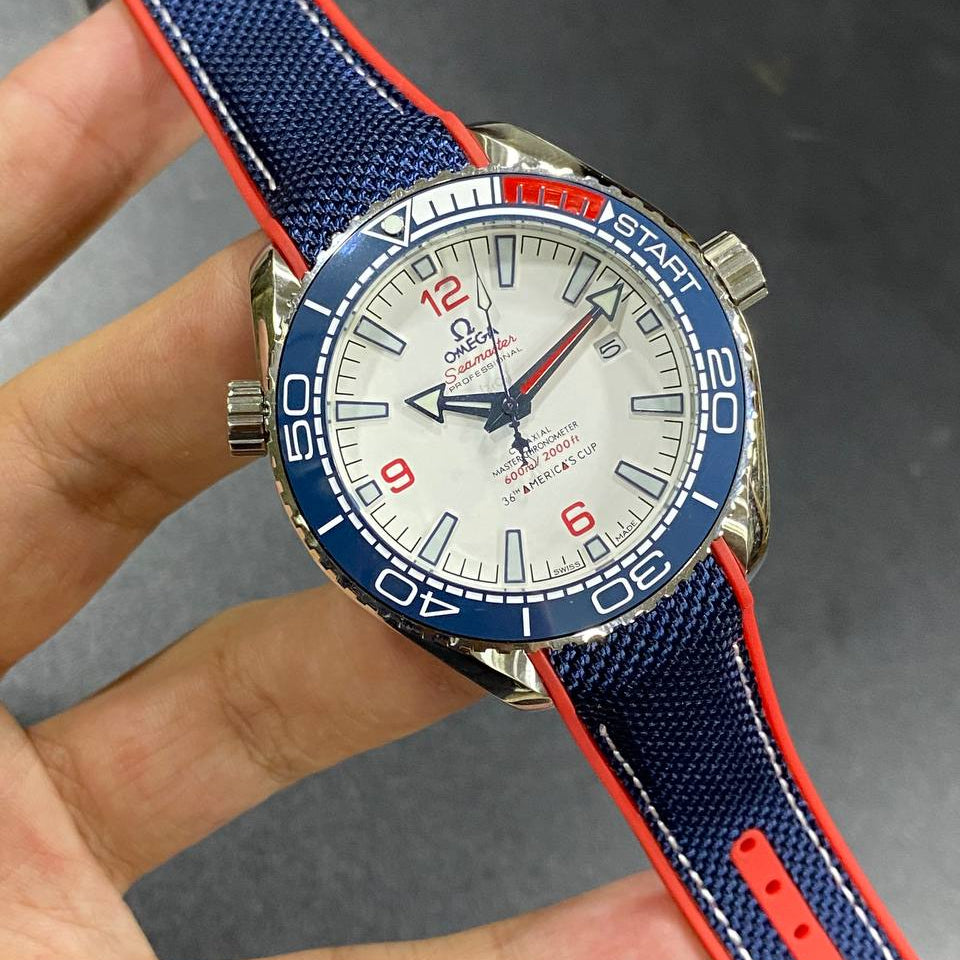 Omega Seamaster Professional Blue Dial Master Chronometer Watch