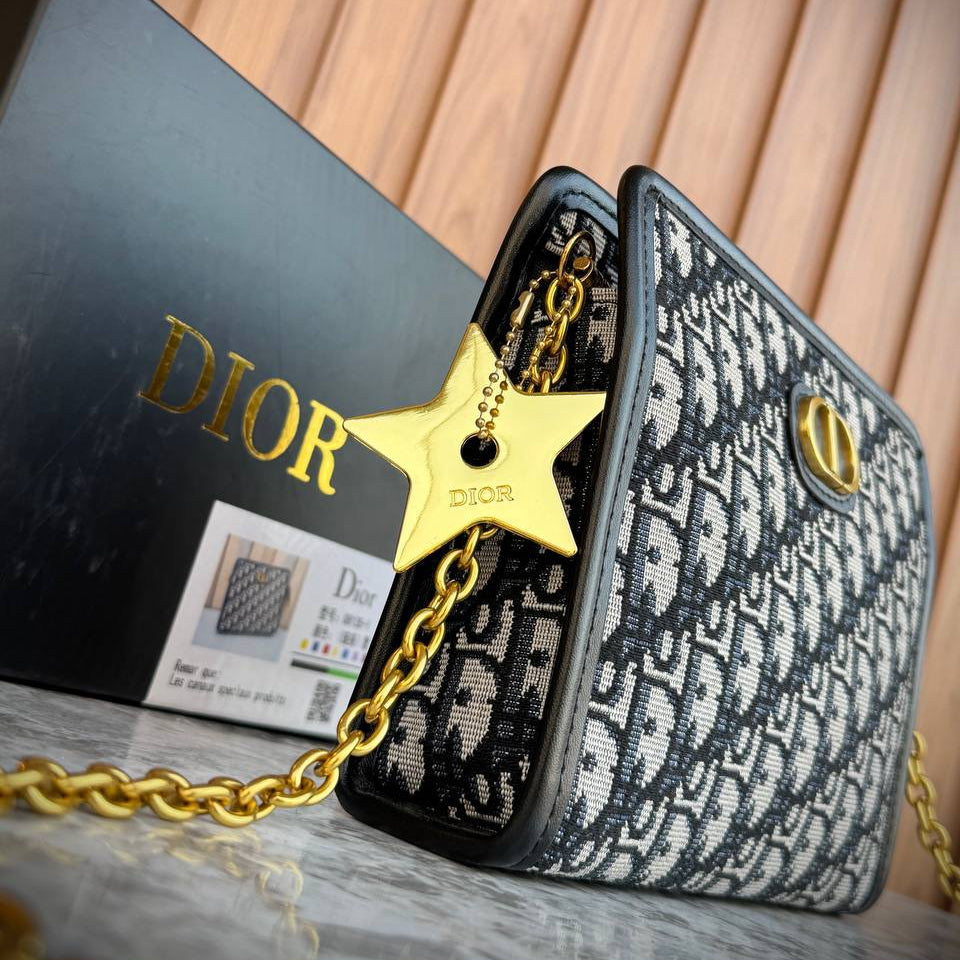 Dior Oblique Canvas 30 Montaigne Pouch with Gold Star Charm 👜✨🌟