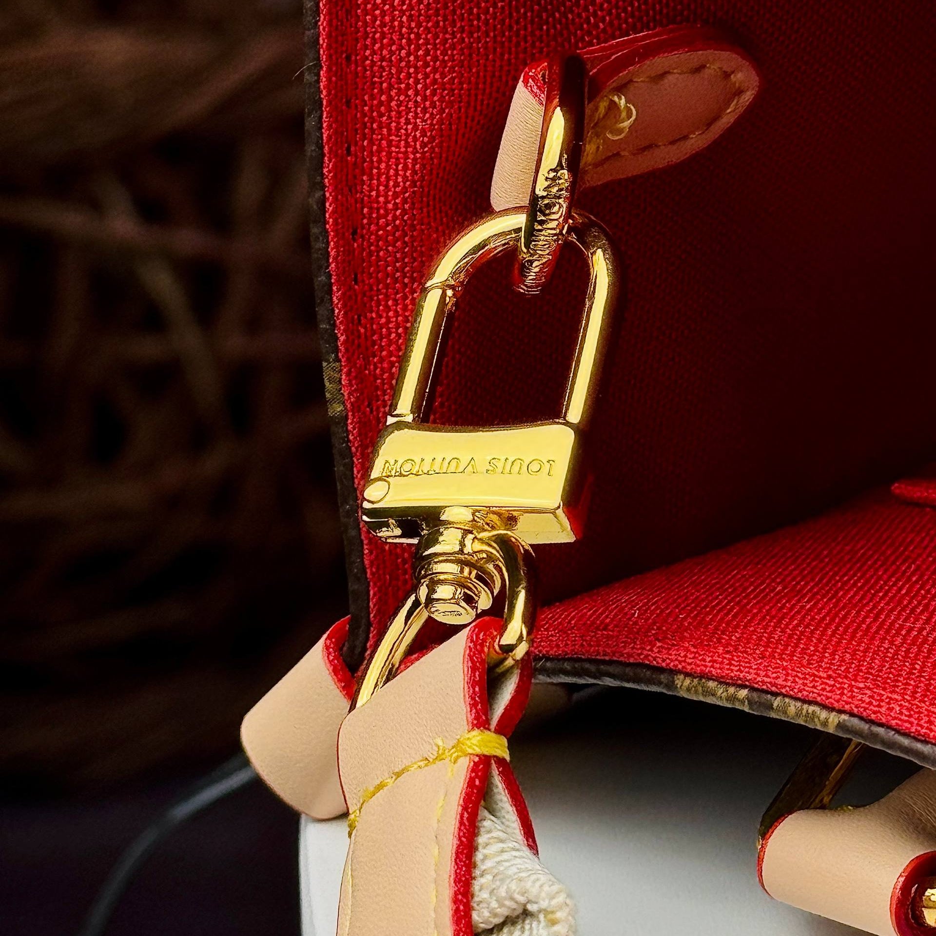 Louis Vuitton Carnival Monogram Canvas Bag with Coin Pouch 🎡👜✨