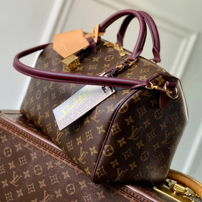 Louis Vuitton Monogram Canvas Bag with Burgundy Leather Accents