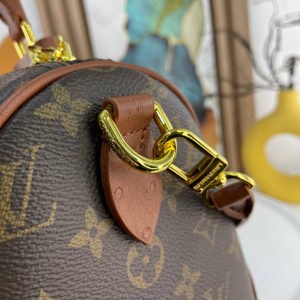 Louis Vuitton Monogram Canvas Bag with Burgundy Leather Accents