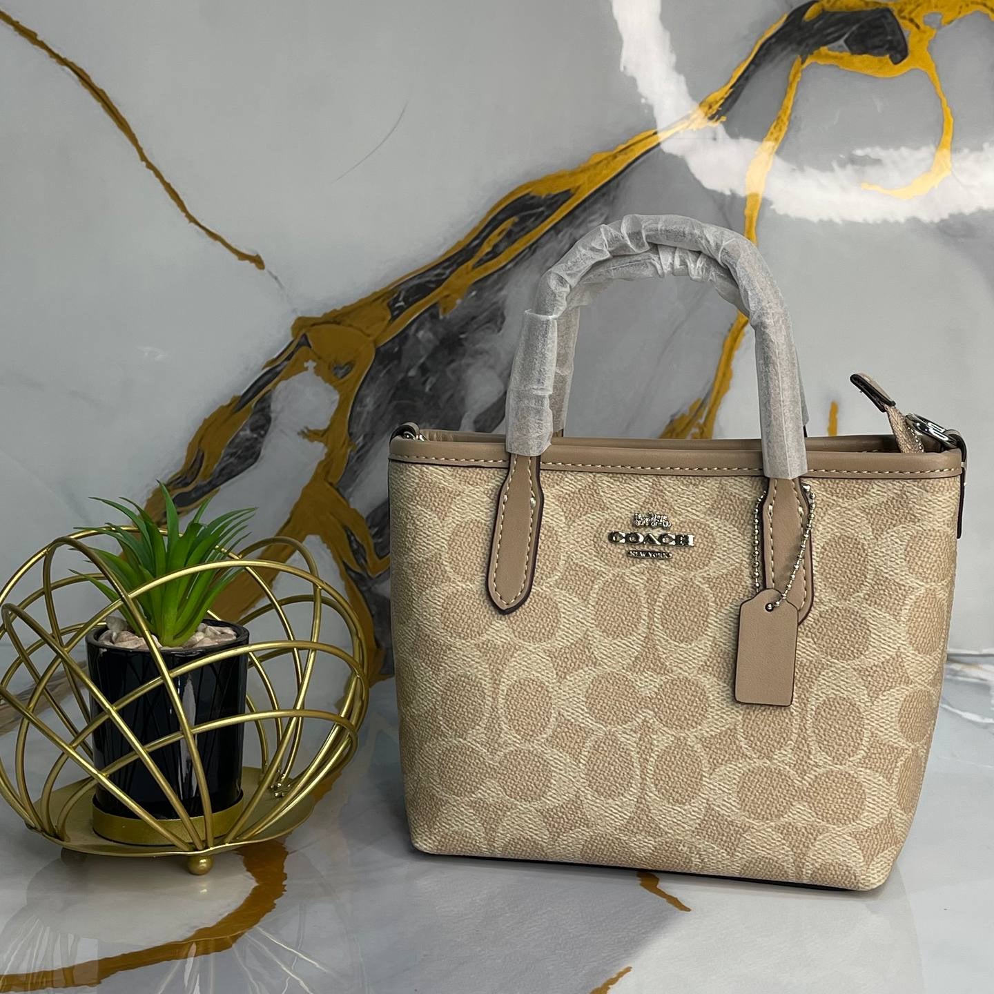 Coach Mini Mollie Tote in Signature Canvas Chalk  👜✨🤍
